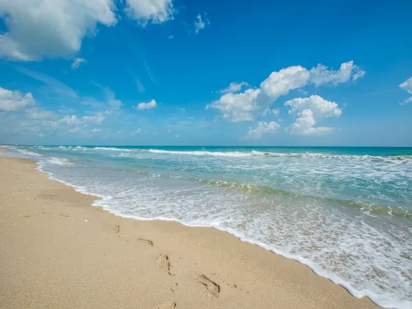 a view of a beach with an ocean view