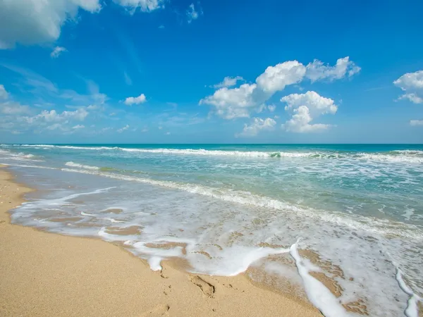 a view of an ocean and beach