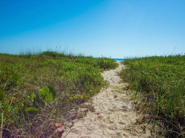 a view of beach and ocean