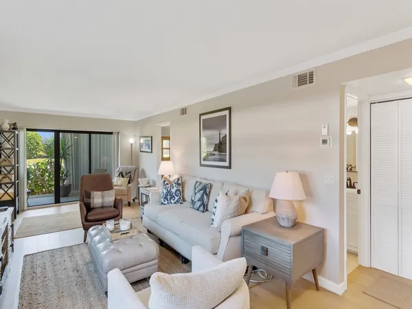 a living room with furniture or couch and a potted plant