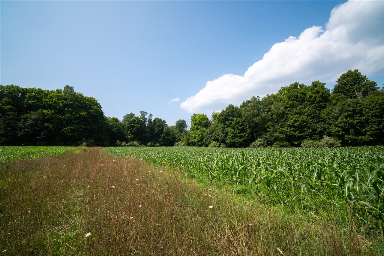 Milarch Road Bear Lake, MI 49614 - Photo 12 of 57