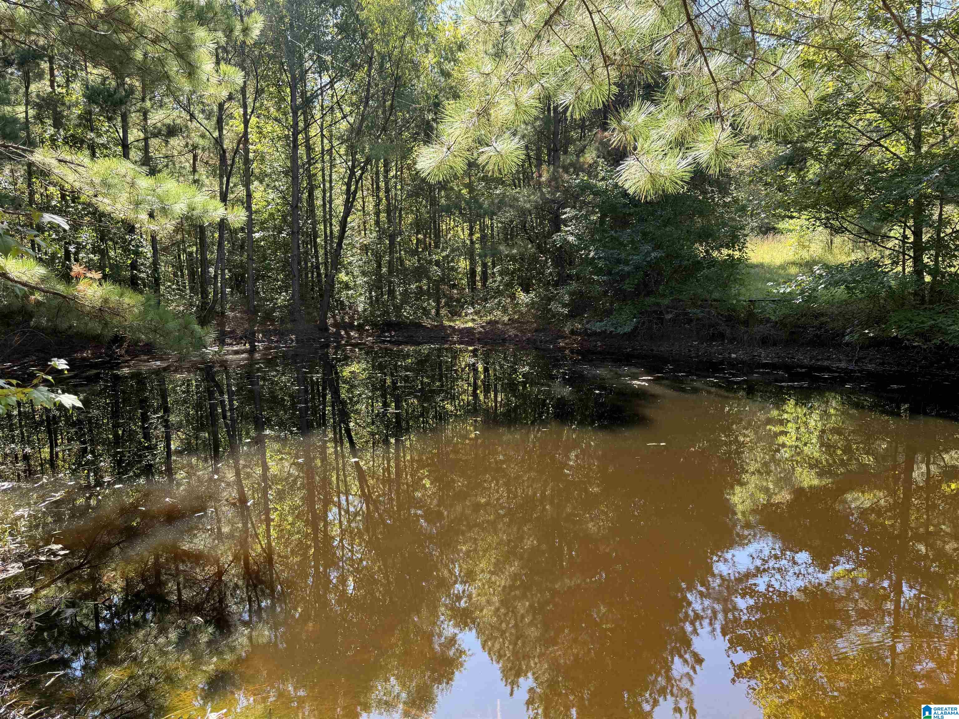 2361 New County Line Road Sylacauga, AL 35151 - Photo 21 of 35