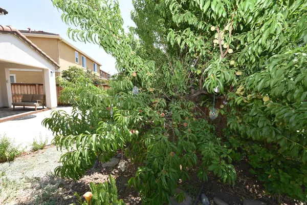 a view of house with outdoor space