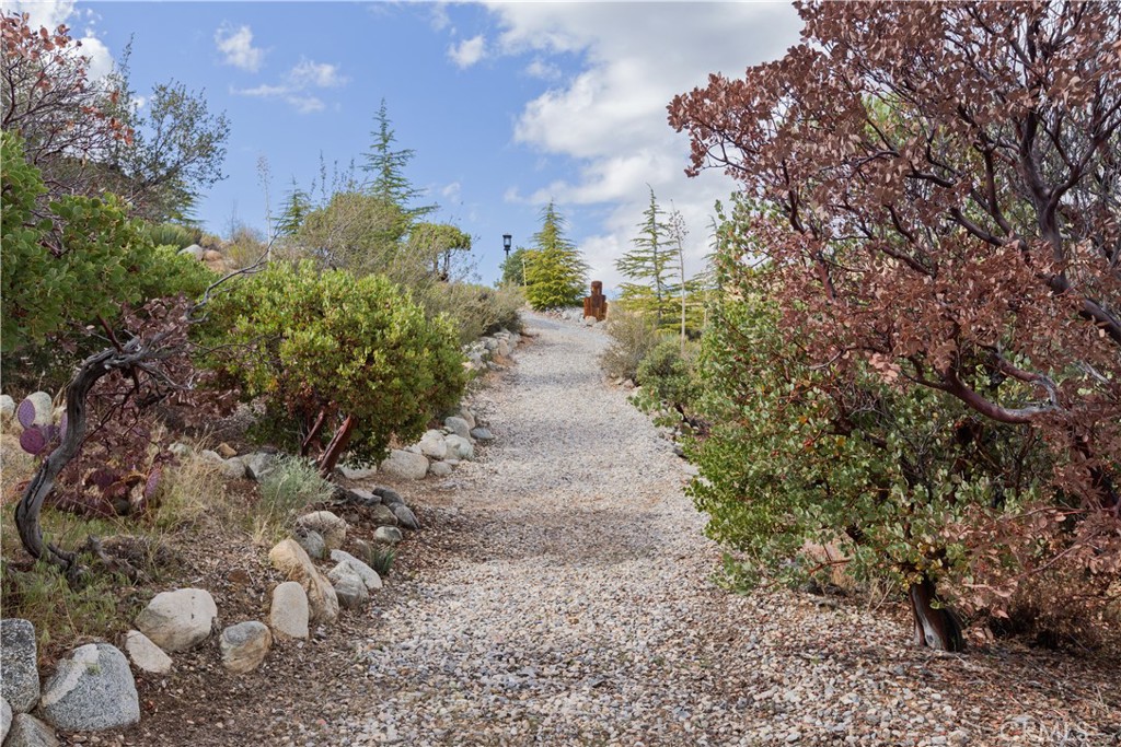 1870 Oak Springs Valley Road Wrightwood, CA 92397 - Photo 27 of 37 a view of a pathway both side of yard