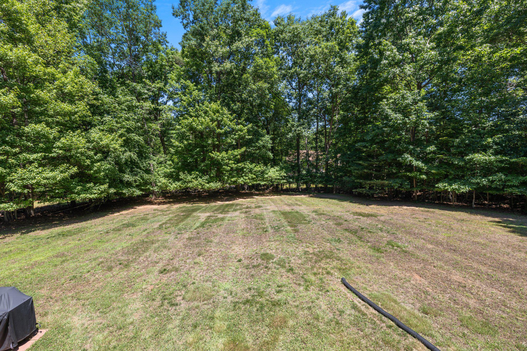 801 Mitchell Point Road Mineral, VA 23117 - Photo 61 of 74 Backyard