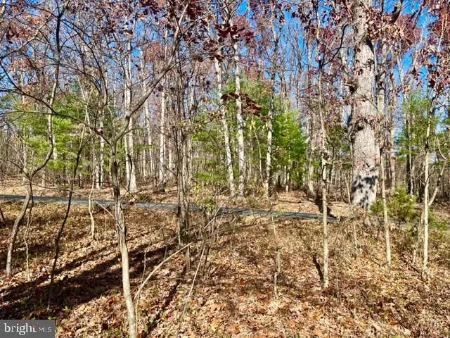 a view of small yard