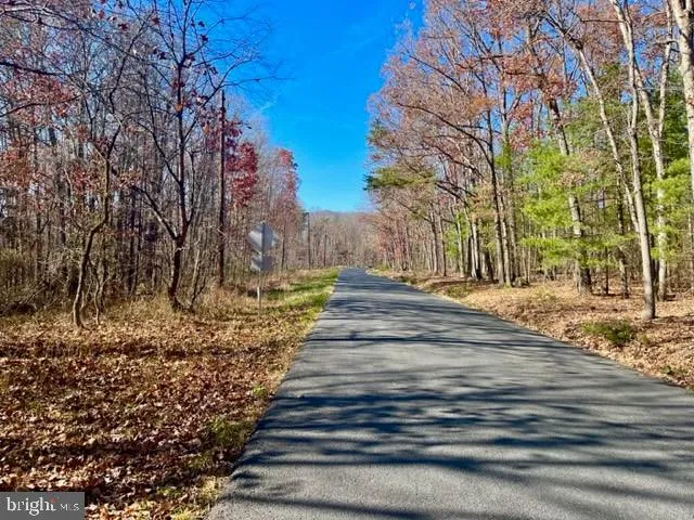 a view of yard with trees