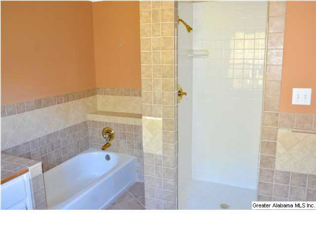 3711 Blue Springs Road Wilsonville, AL 35186 - Photo 10 of 29