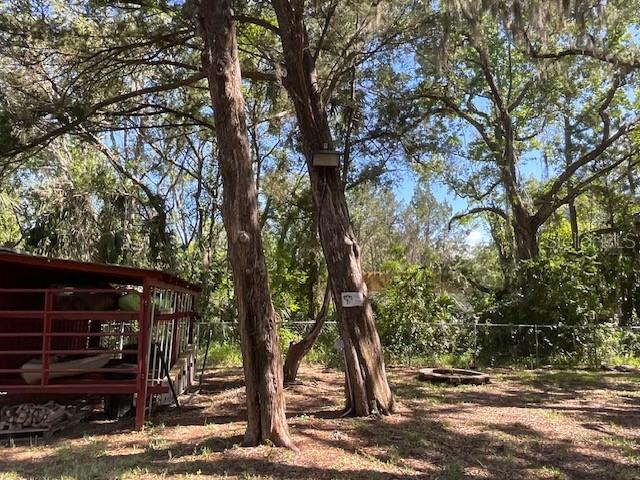 8157 Anchor Point Drive Weeki Wachee, FL 34607 - Photo 14 of 17