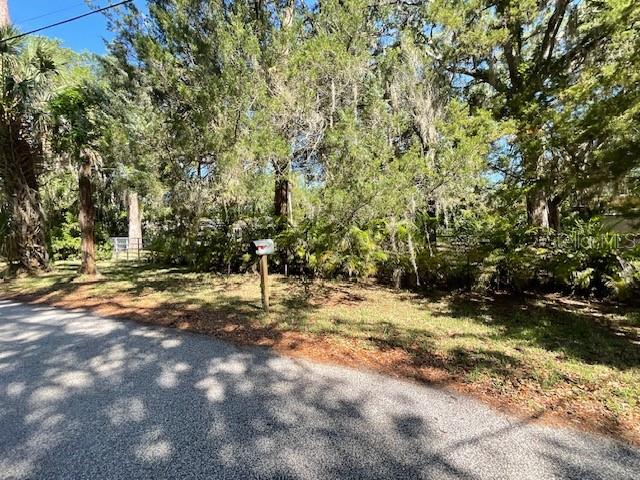 8157 Anchor Point Drive Weeki Wachee, FL 34607 - Photo 16 of 17