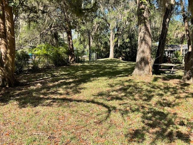 8157 Anchor Point Drive Weeki Wachee, FL 34607 - Photo 10 of 17