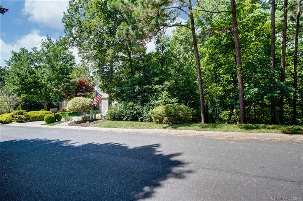 11057 Holiday Cove Lane Tega Cay, SC 29708 - Photo 36 of 37