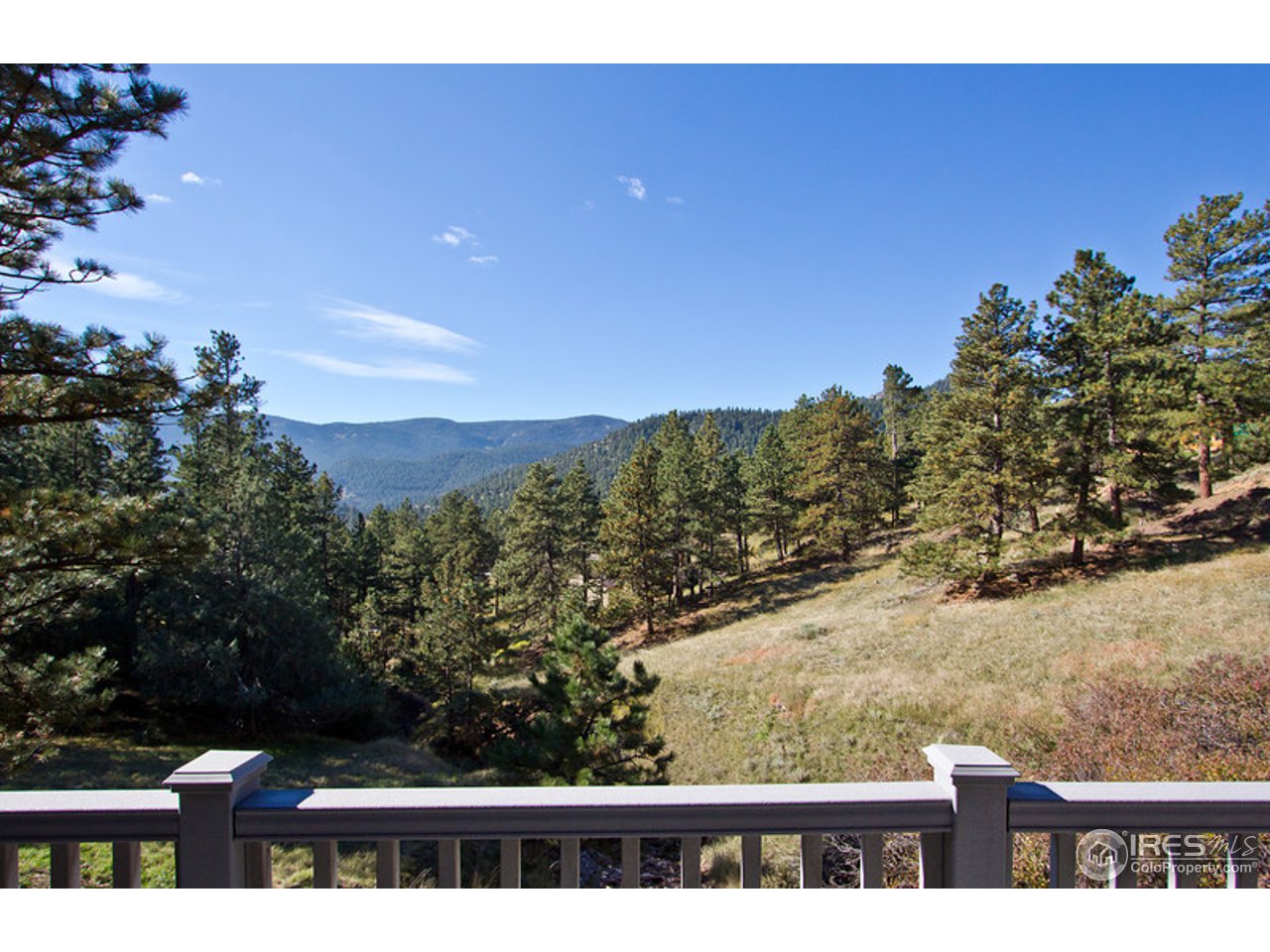398 Broken Fence Road Boulder, CO 80302 - Photo 15 of 25 a view of a yard with a tree