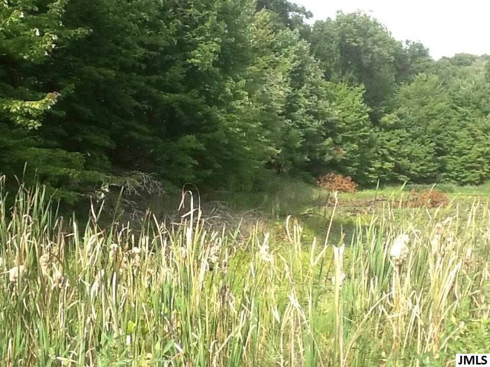 0 Town Road Springport, MI 49269 - Photo 1 of 3 Photo 1
