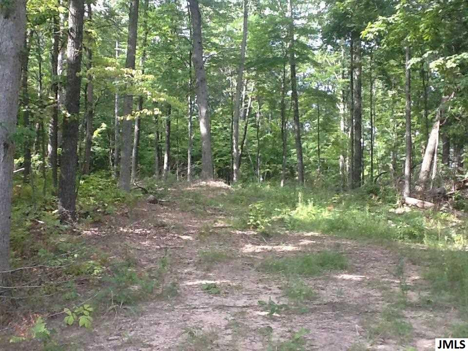 0 Town Road Springport, MI 49269 - Photo 2 of 3 Photo 2