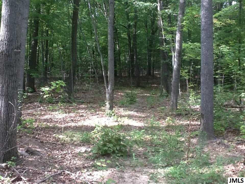 0 Town Road Springport, MI 49269 - Photo 3 of 3 Photo 3