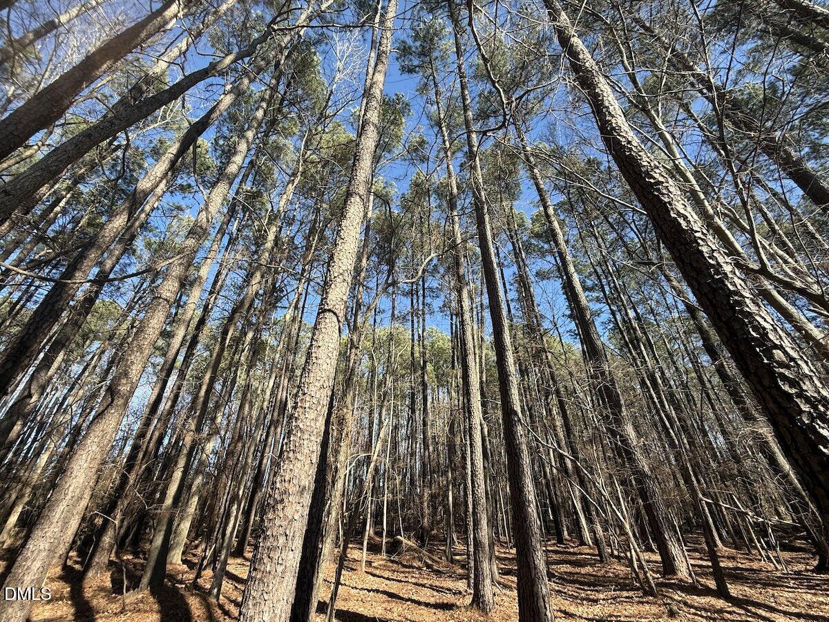 1012 South Halifax Road Rocky Mount, NC 27803 - Photo 15 of 41 13