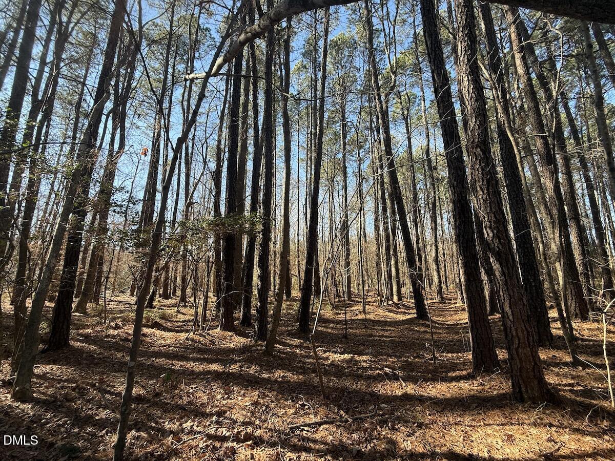 1012 South Halifax Road Rocky Mount, NC 27803 - Photo 18 of 41 16