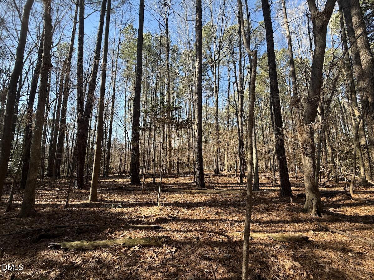 1012 South Halifax Road Rocky Mount, NC 27803 - Photo 29 of 41 27