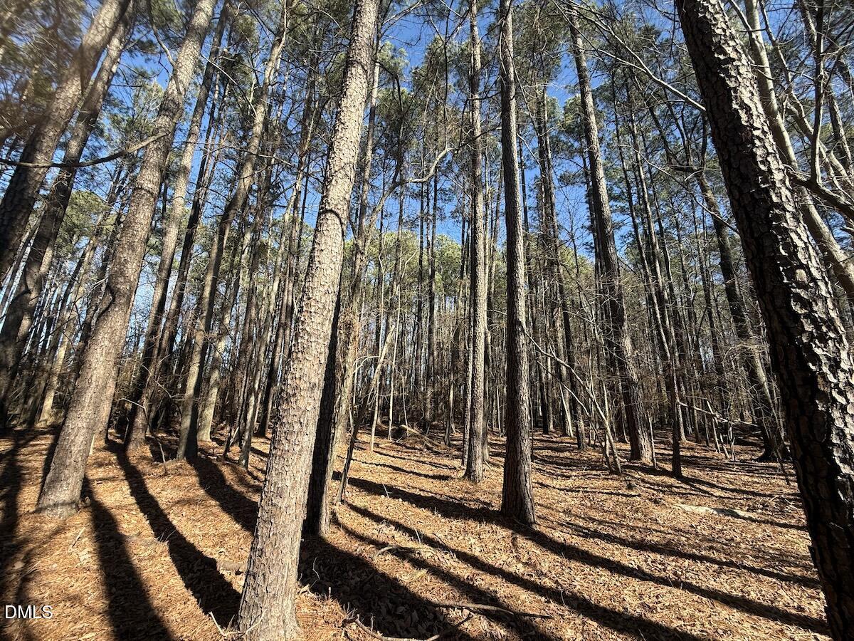 1012 South Halifax Road Rocky Mount, NC 27803 - Photo 31 of 41 29