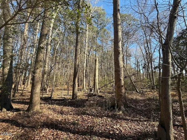 a backyard of a house with a trees