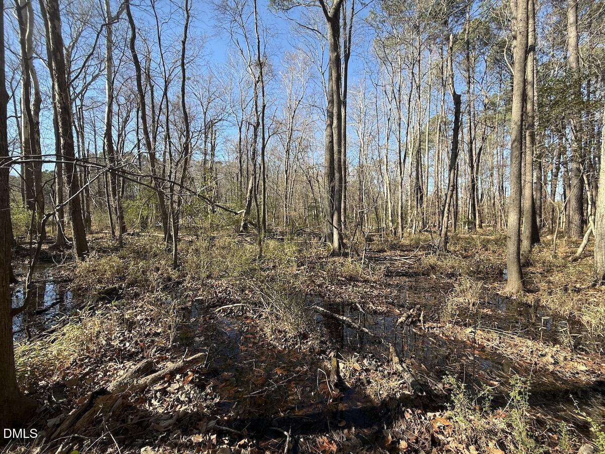 1012 South Halifax Road Rocky Mount, NC 27803 - Photo 35 of 41 33