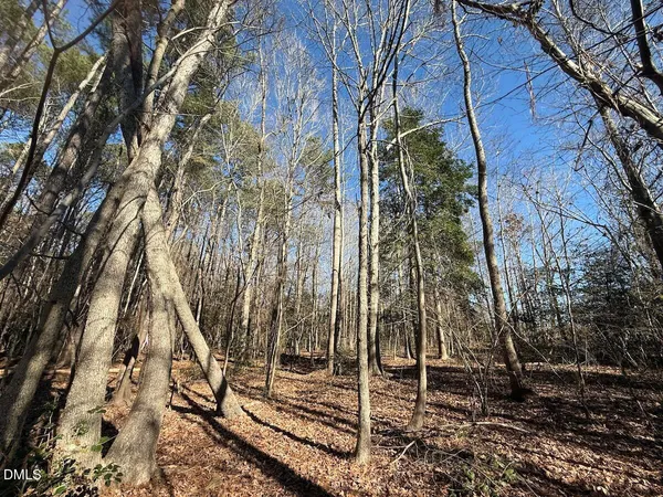 a view of outdoor space with trees