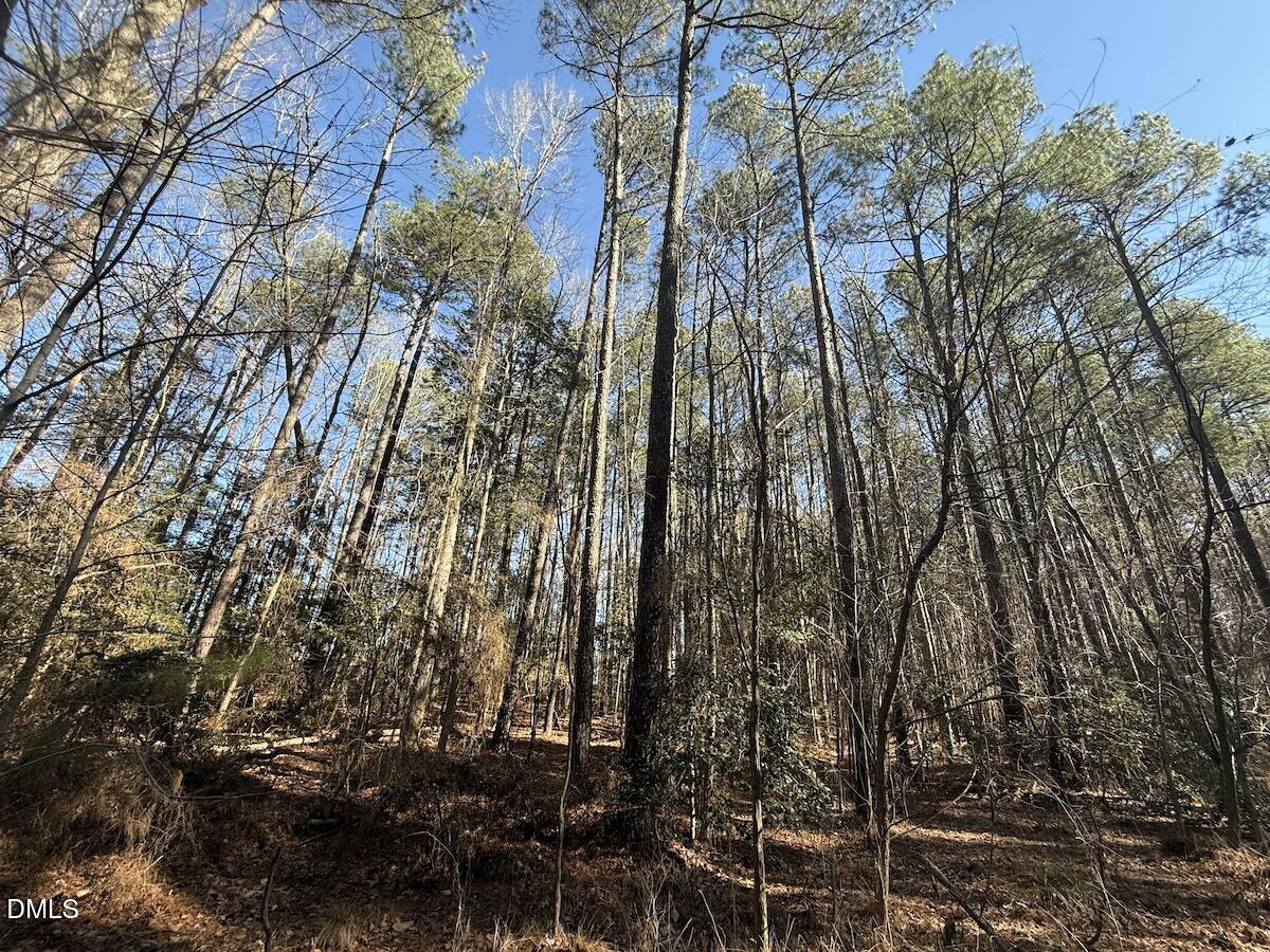 1012 South Halifax Road Rocky Mount, NC 27803 - Photo 37 of 41 35