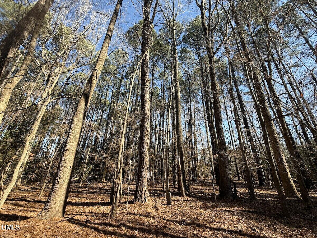 1012 South Halifax Road Rocky Mount, NC 27803 - Photo 4 of 41 2