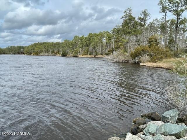730 Griggs Road Vandemere, NC 28587 - Photo 30 of 34 POTENTIAL LOTS FACING CEDAR CREEK