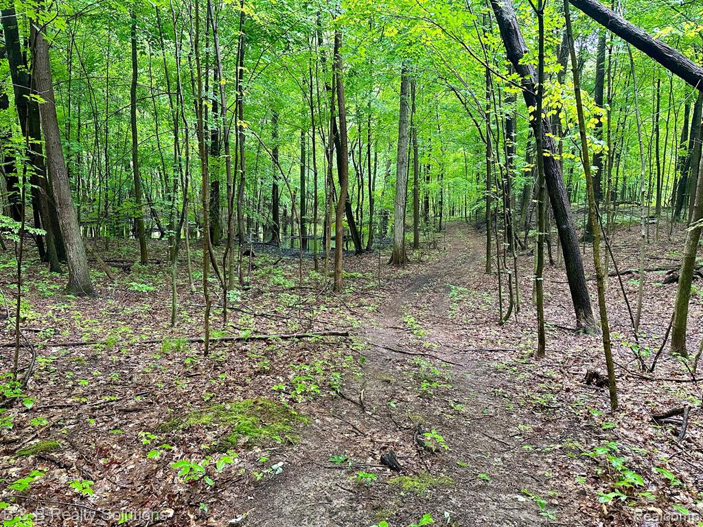0 South Lake Pleasant Road Metamora, MI 48455 - Photo 16 of 32