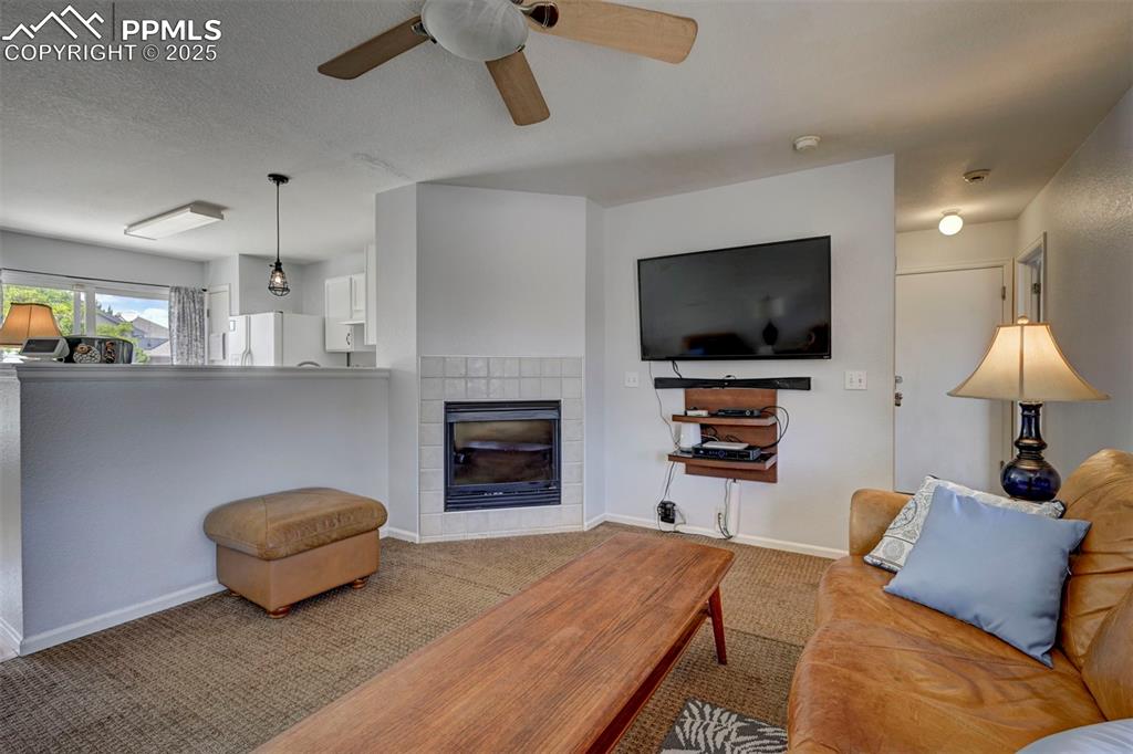 12593 Pine Valley Circle Peyton, CO 80831 - Photo 2 of 17 Living area with carpet floors, a fireplace, and ceiling fan