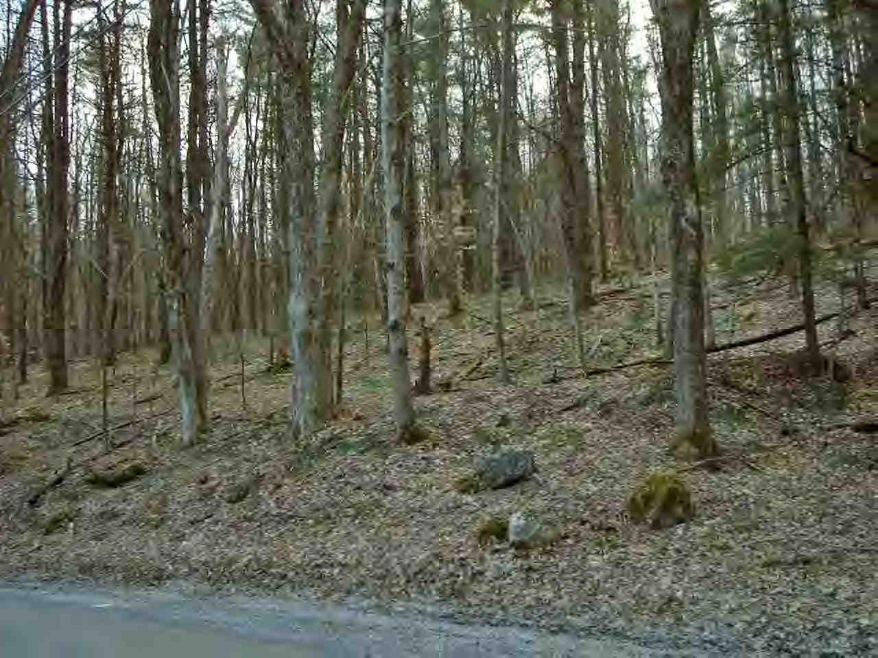 Dugway Road Housatonic, MA 01236 - Photo 5 of 6 Additional Photo