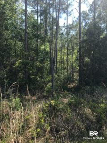 0 Deakle Road Theodore, AL 36582 - Photo 1 of 4