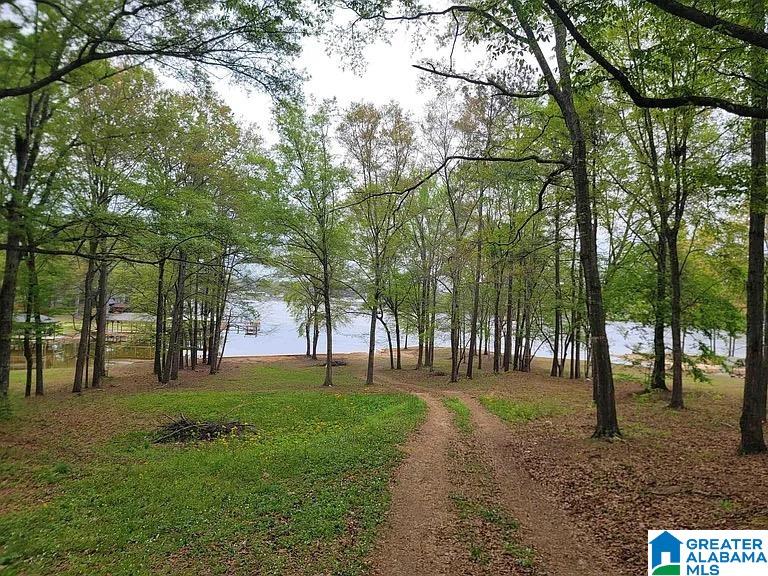 95 Rivercrest Lane Vincent, AL 35178 - Photo 13 of 30