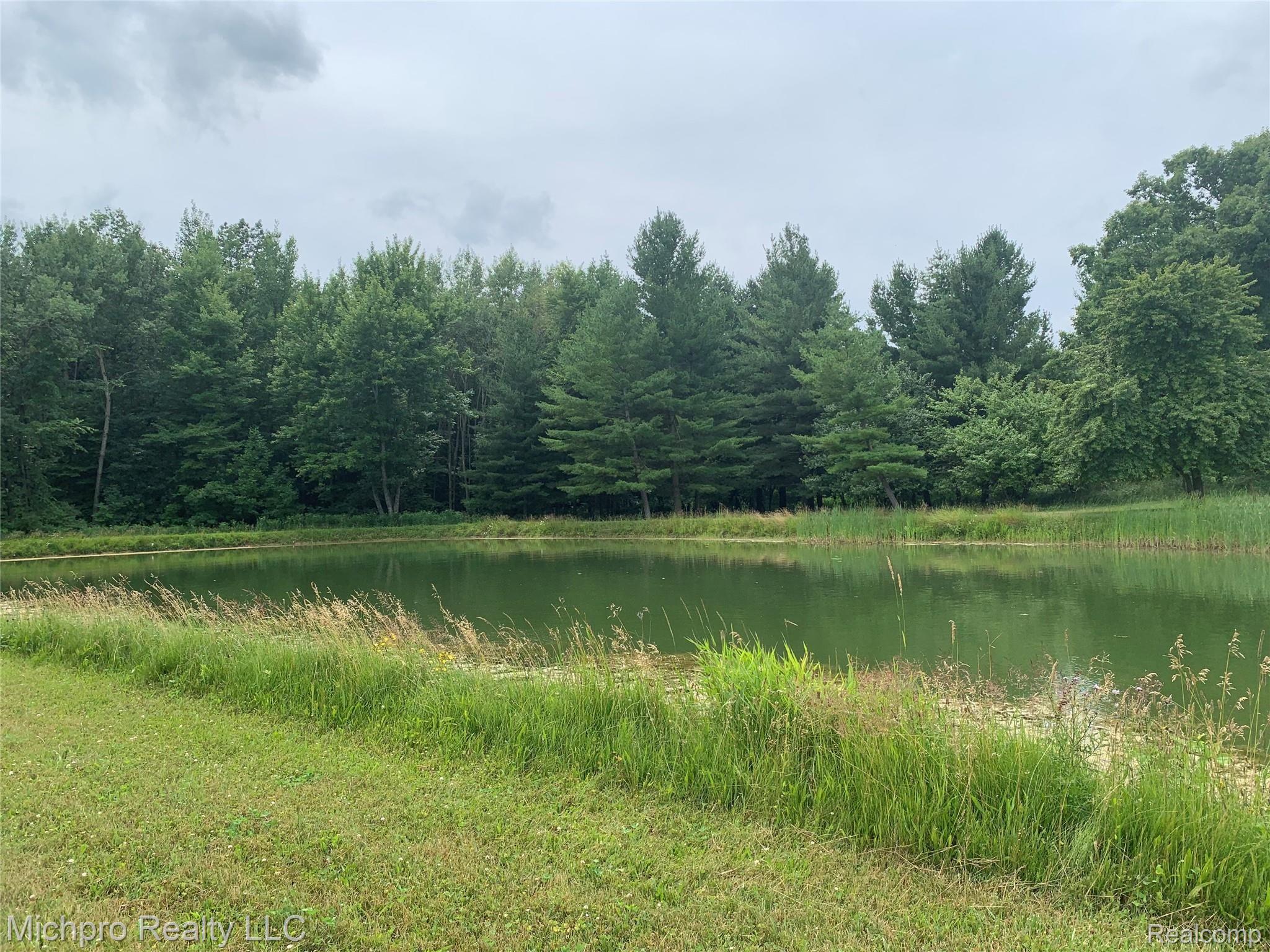 6806 Reside Road Imlay City, MI 48444 - Photo 37 of 66 IMG_6712.JPG