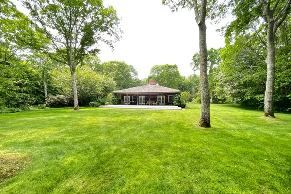 a view of a garden with large trees