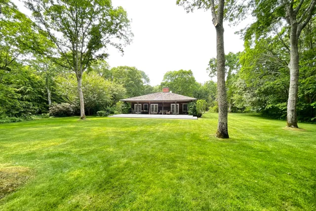 a view of a garden with large trees
