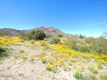 2624 South Gold Mine Road Yucca, AZ 86438 - Photo 18 of 35 Gallery Image 18