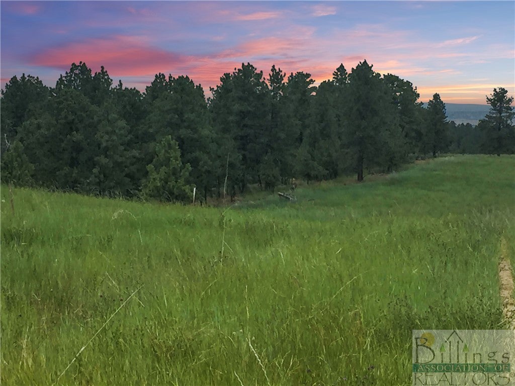 Lot 8 Shane Ridge Road Columbus, MT 59019 - Photo 1 of 1 Gallery Image 1