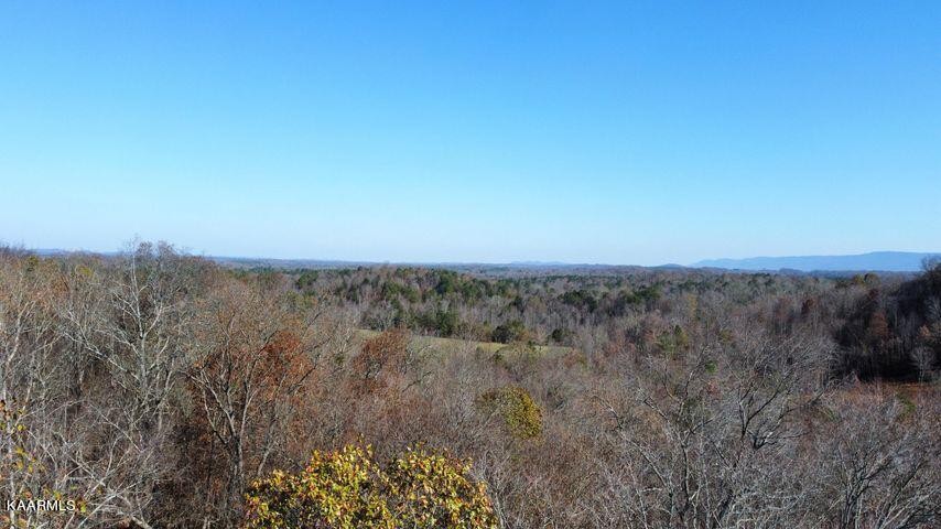 41 Athens Road Delano, TN 37325 - Photo 21 of 34