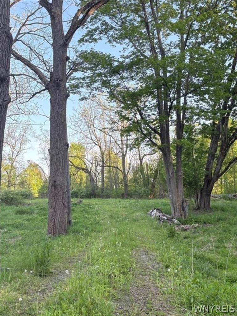 1441 Sturgeon Point Road Evans, NY 14047 - Photo 1 of 4