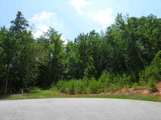 Lot 22 Roco Trail Travelers Rest, SC 29690 - Photo 1 of 10 Gallery Image 1