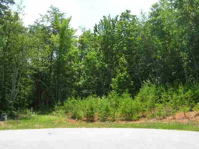 Lot 22 Roco Trail Travelers Rest, SC 29690 - Photo 2 of 10 Gallery Image 2