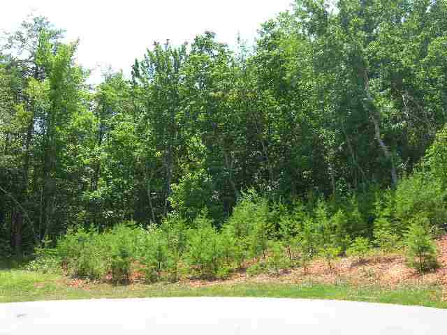 Lot 22 Roco Trail Travelers Rest, SC 29690 - Photo 3 of 10 Gallery Image 3