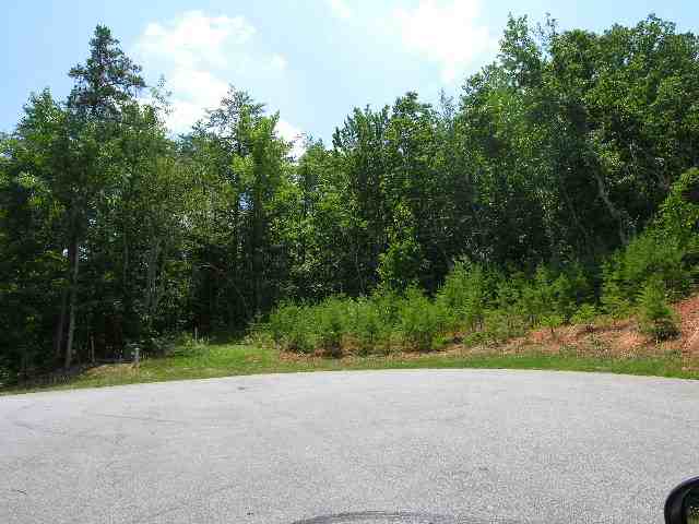 Lot 22 Roco Trail Travelers Rest, SC 29690 - Photo 4 of 10 Gallery Image 4
