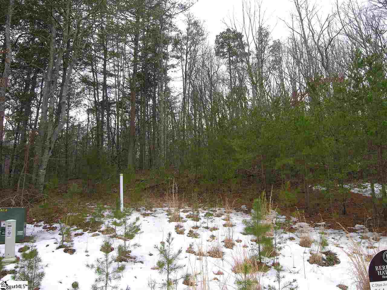 Lot 22 Roco Trail Travelers Rest, SC 29690 - Photo 5 of 10 Gallery Image 5
