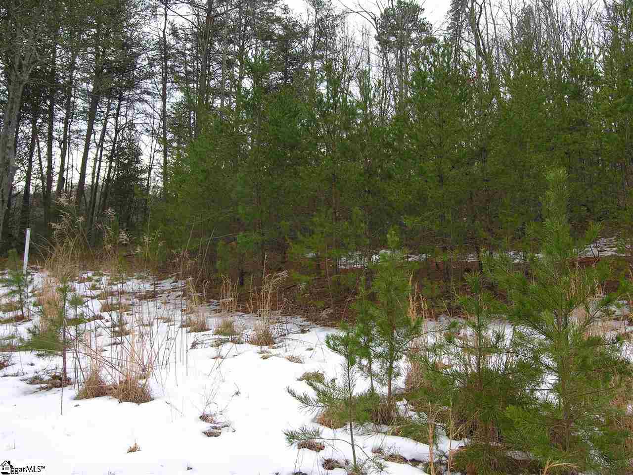 Lot 22 Roco Trail Travelers Rest, SC 29690 - Photo 6 of 10 Gallery Image 6