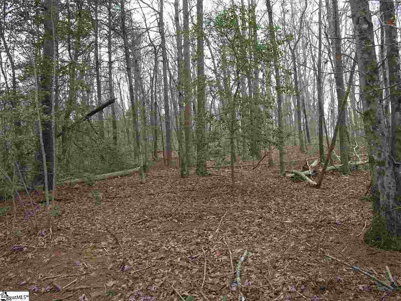 Lot 22 Roco Trail Travelers Rest, SC 29690 - Photo 7 of 10 Gallery Image 7