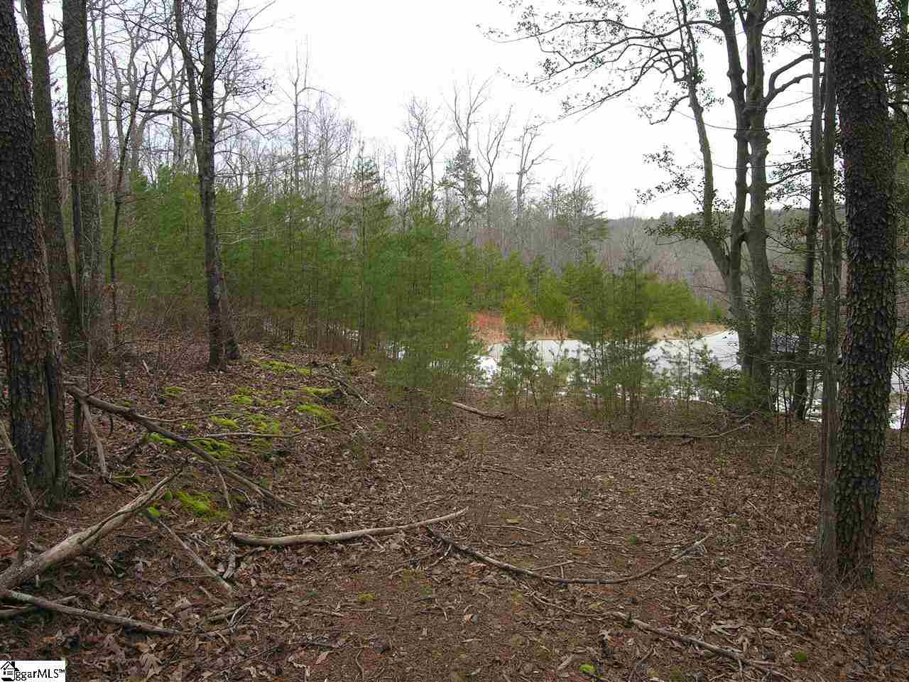 Lot 22 Roco Trail Travelers Rest, SC 29690 - Photo 8 of 10 Gallery Image 8